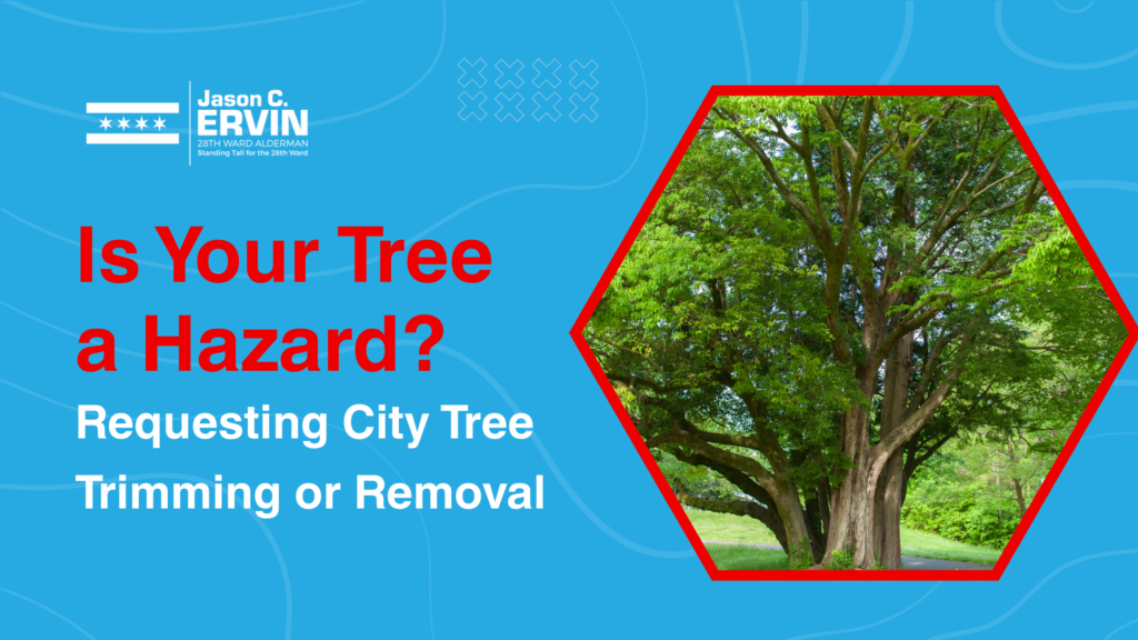 Residential Tree Removal